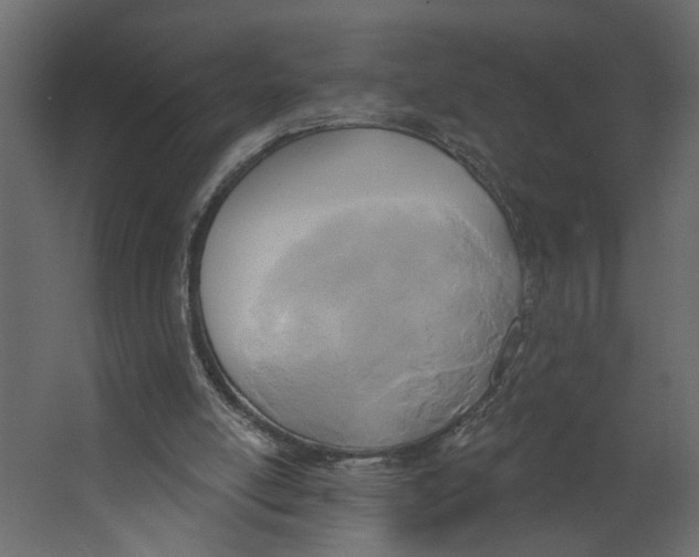 X0000067490054200604211709