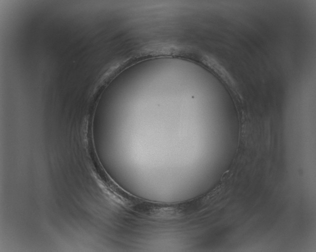 X0000067490058200604211709
