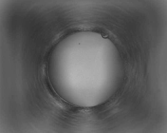 X0000067490071200604211710