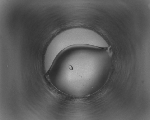 X0000067490072200604211710