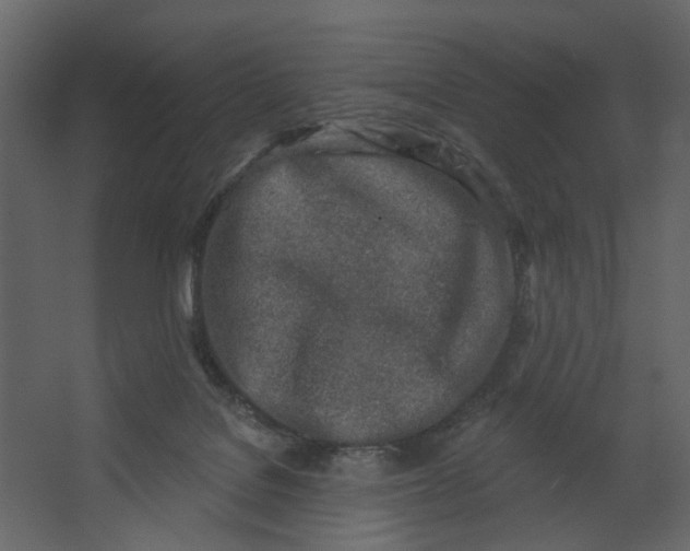 X0000067490076200604211710