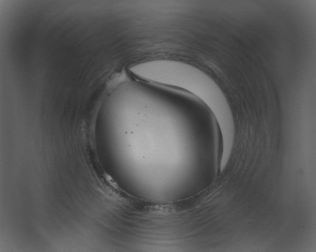X0000067490077200604211710