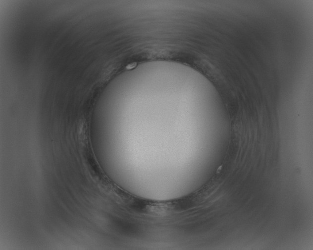 X0000067490079200604211710
