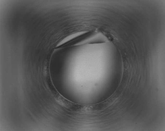X0000067490080200604211710