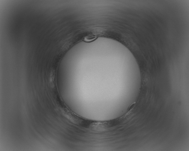 X0000067490082200604211710