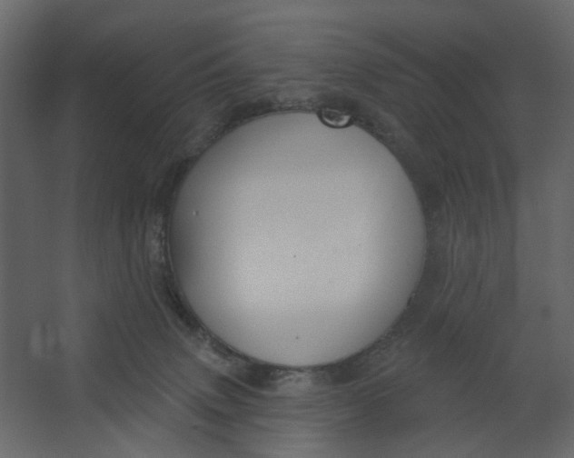 X0000067490083200604211710