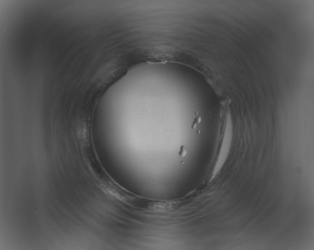 X0000067490084200604211710