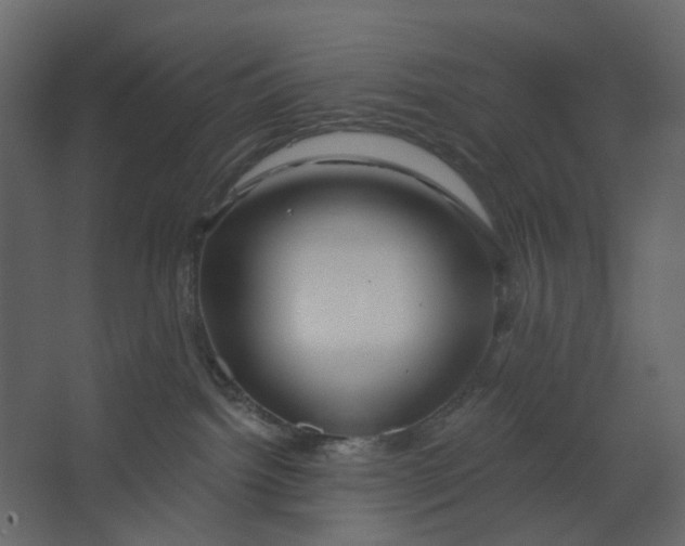 X0000067490092200604211710