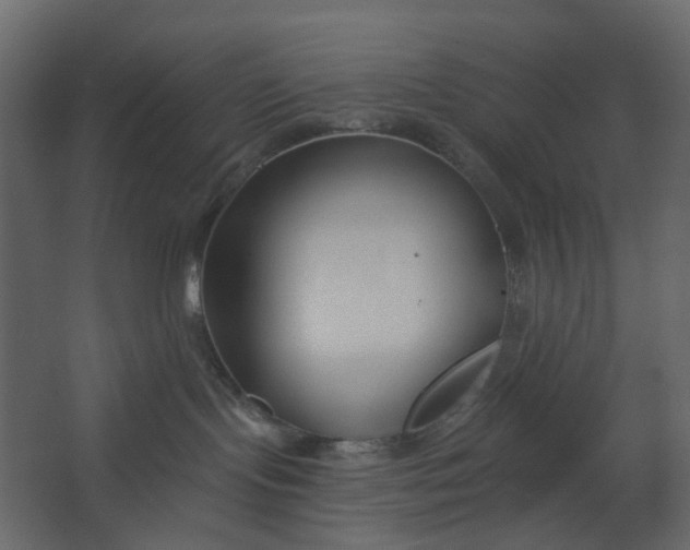 X0000067490095200604211710