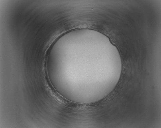 X0000067490098200604211709