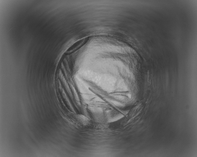 X0000067490099200604211709