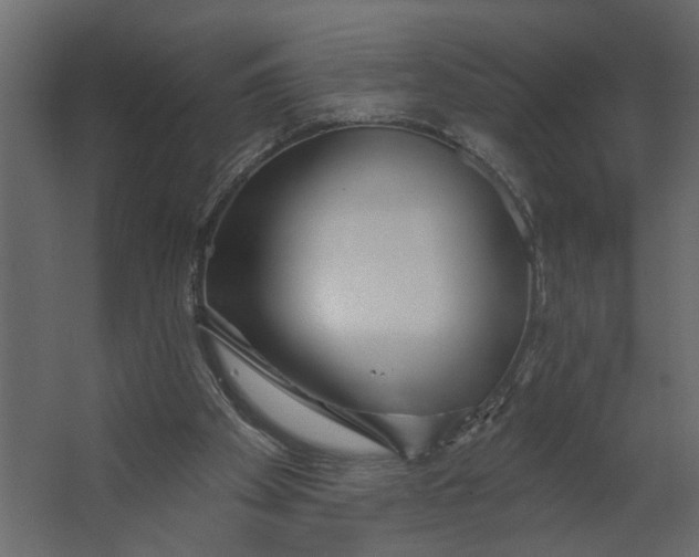 X0000067490105200604211709