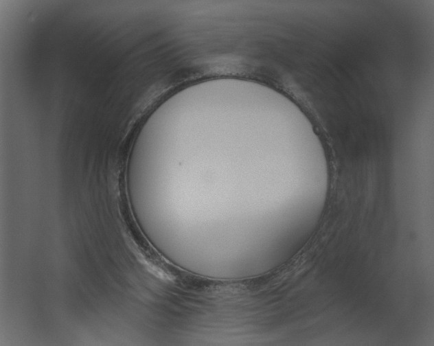 X0000067490106200604211709