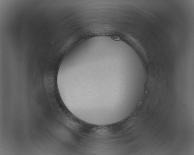 X0000067490113200604211709