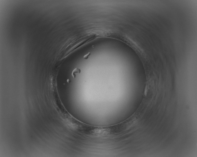 X0000067490117200604211709