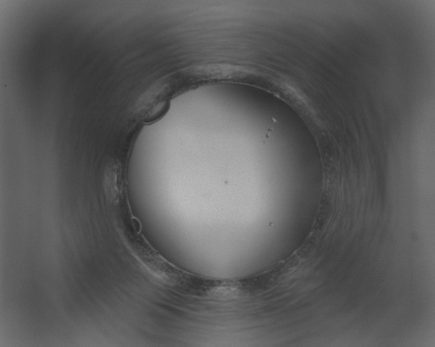 X0000067490119200604211709