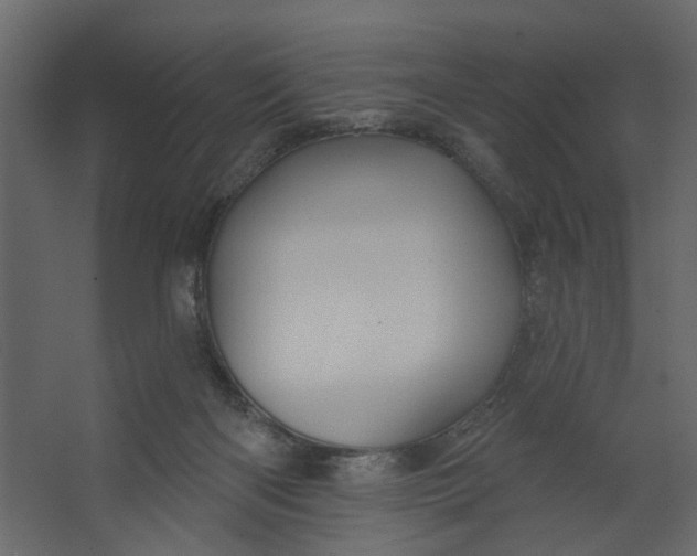 X0000067490122200604211709