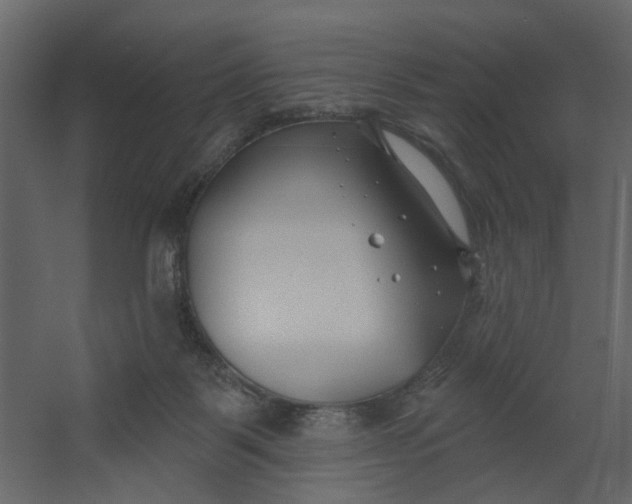 X0000067490123200604211709