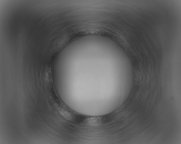 X0000067490126200604211709
