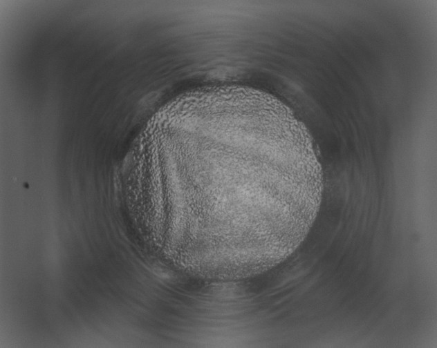 X0000067490127200604211709