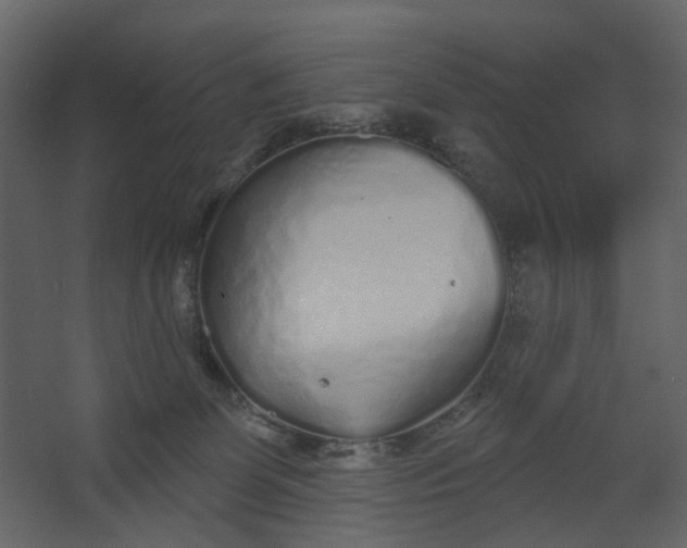 X0000067490131200604211709