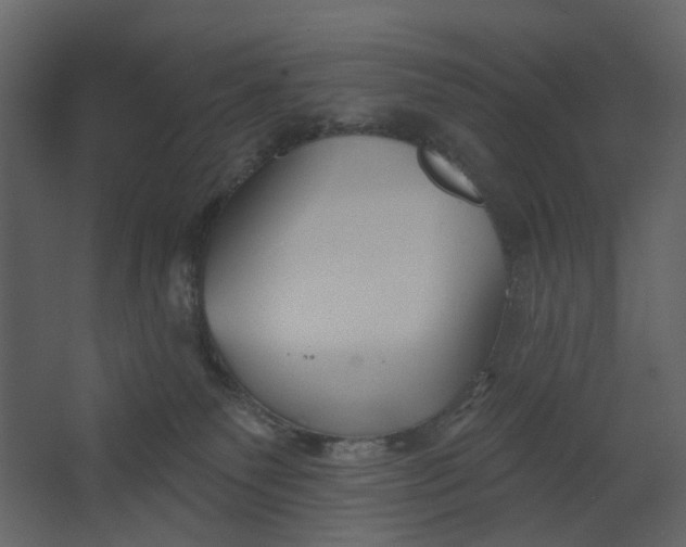 X0000067490135200604211709