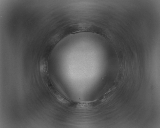X0000067490137200604211709