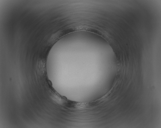 X0000067490142200604211709