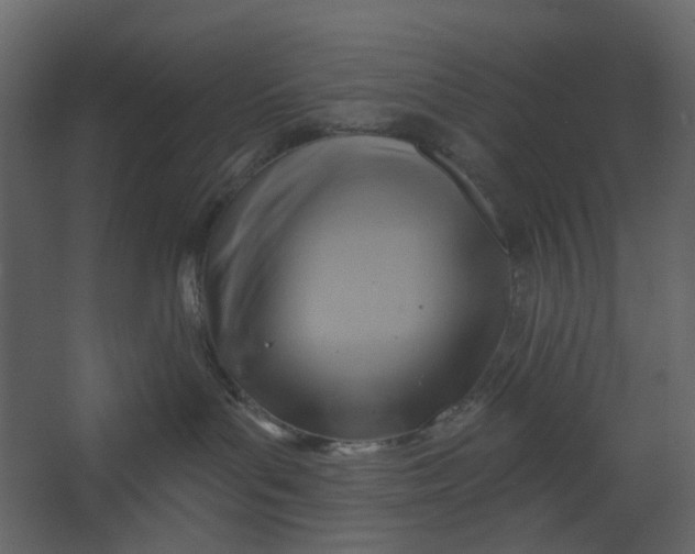 X0000067490143200604211708