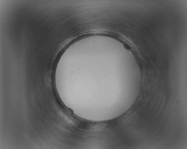 X0000067490155200604211708