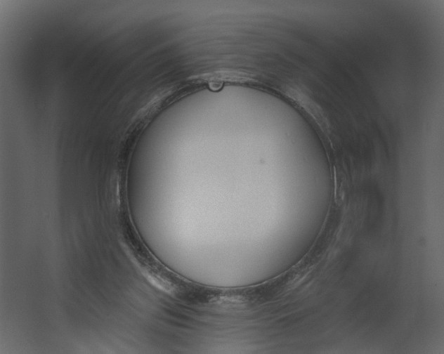 X0000067490157200604211708