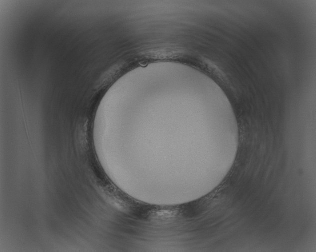X0000067490163200604211708