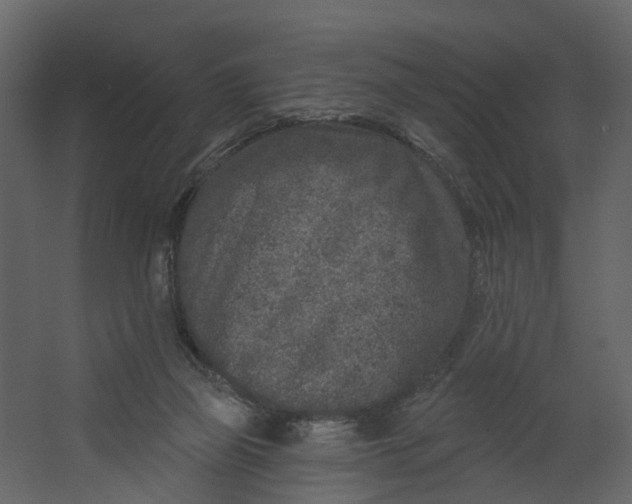 X0000067490165200604211708