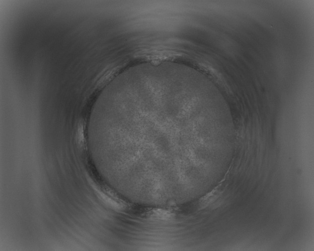 X0000067490166200604211708