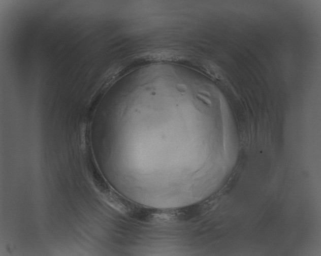 X0000067490167200604211708