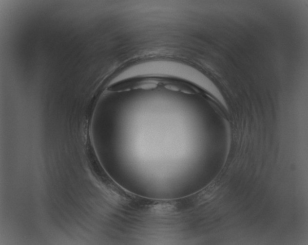 X0000067490168200604211708