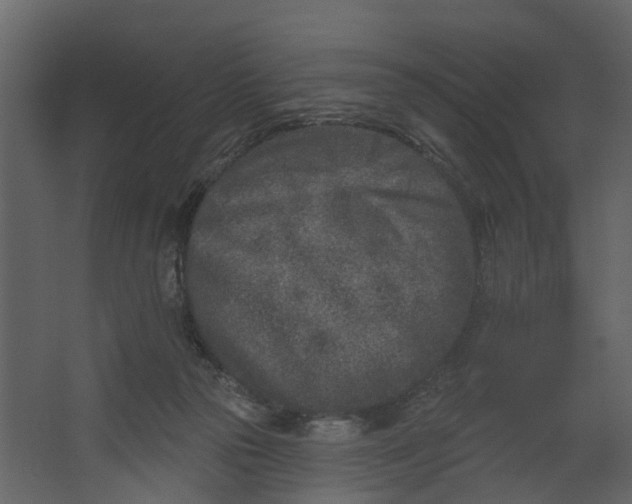 X0000067490169200604211708