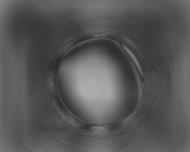 X0000067490170200604211708