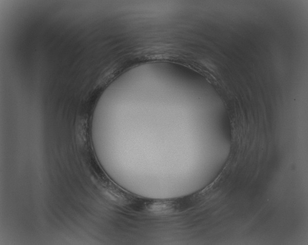 X0000067490171200604211708