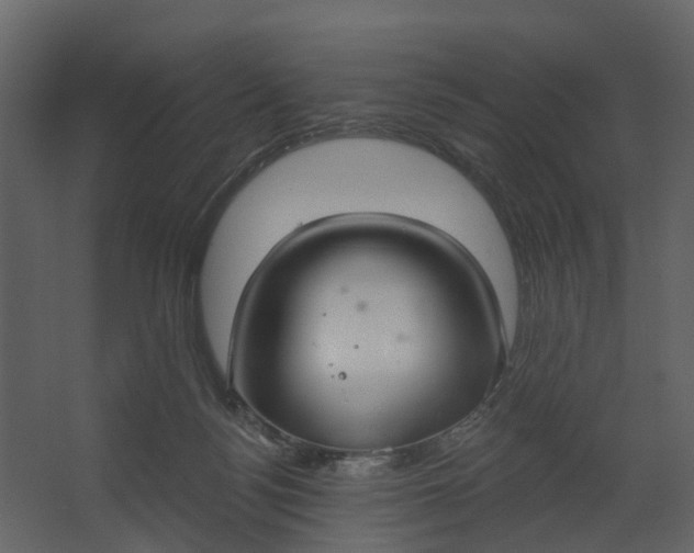X0000067490172200604211708