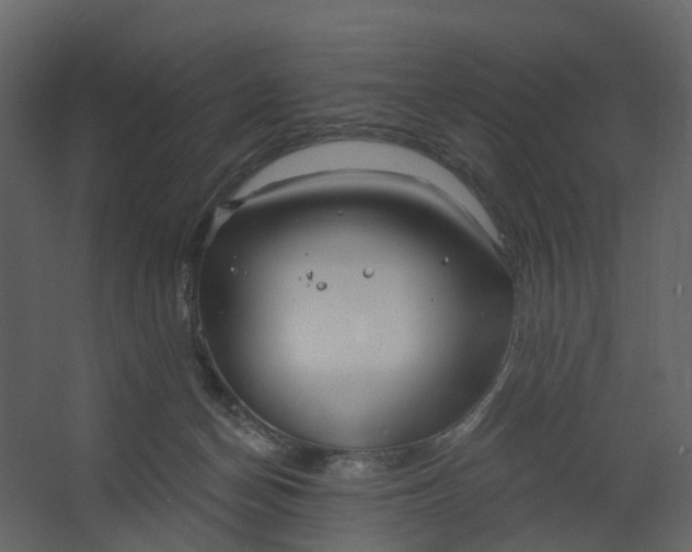 X0000067490174200604211708