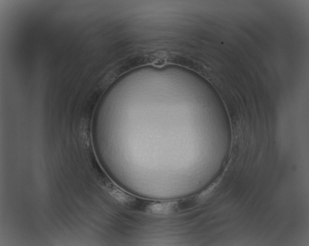 X0000067490178200604211708