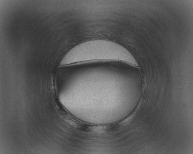 X0000067490182200604211708