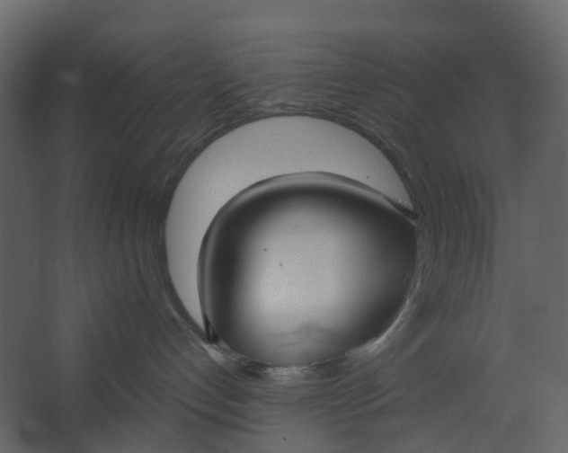 X0000067490192200604211708