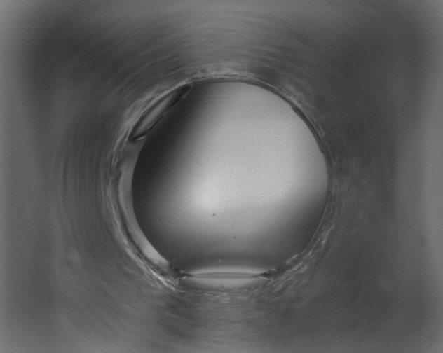 X0000067490193200604211708