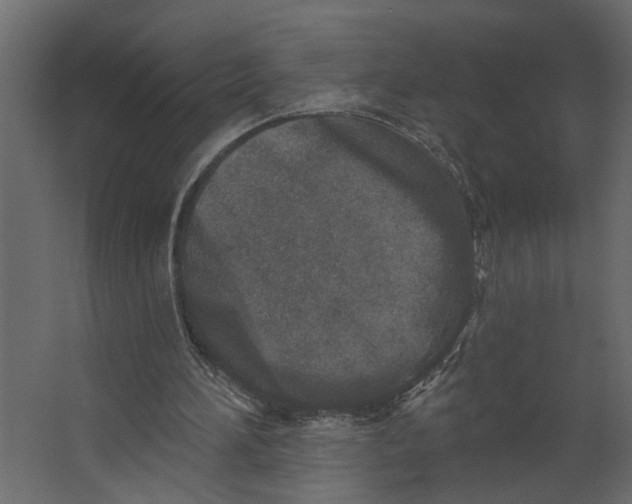 X0000067490196200604211708