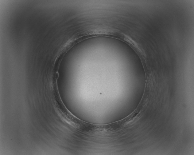 X0000067490203200604211707