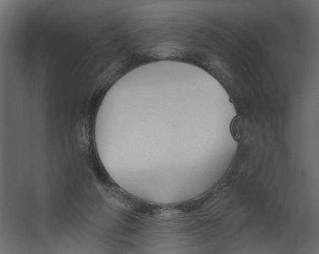 X0000067490210200604211707