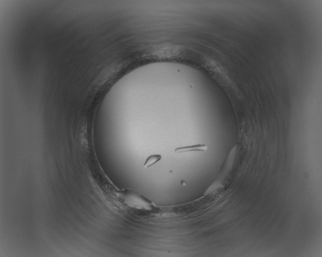 X0000067490212200604211707