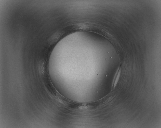 X0000067490216200604211707
